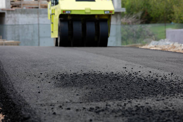 Best Professional Driveway Pavers  in Pico Rivera, CA