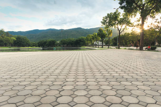 Professional Driveway Pavers in Pico Rivera, CA
